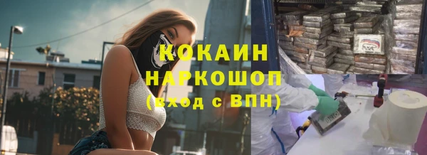 шишки Снежногорск