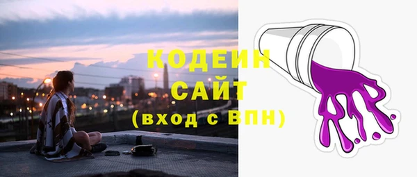 шишки Снежногорск