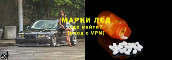 шишки Снежногорск