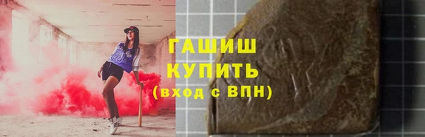 шишки Снежногорск