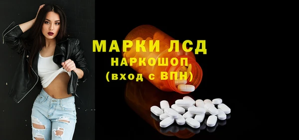 шишки Снежногорск