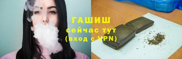 шишки Снежногорск