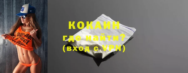 шишки Снежногорск