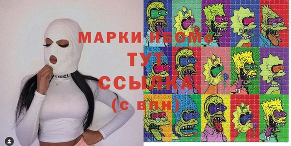 шишки Снежногорск