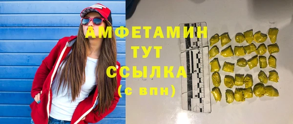 шишки Снежногорск